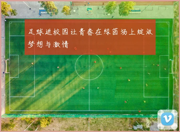 足球进校园让青春在绿茵场上绽放梦想与激情