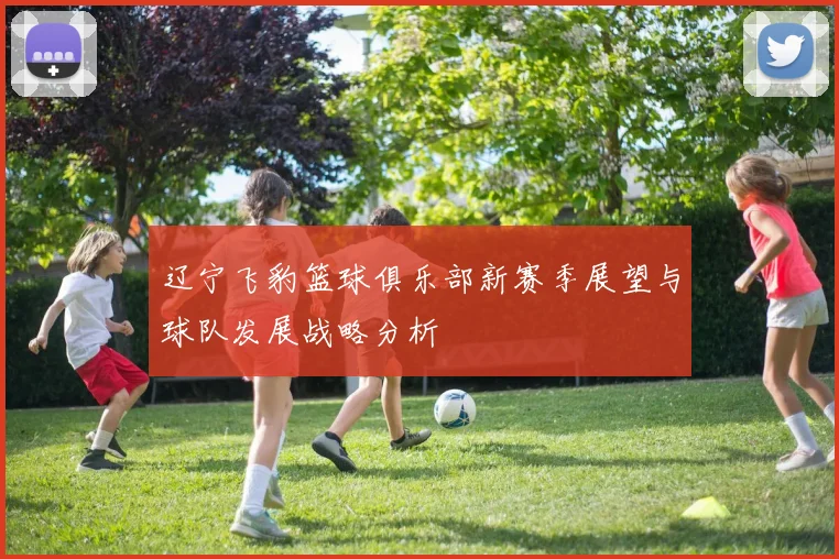 辽宁飞豹篮球俱乐部新赛季展望与球队发展战略分析