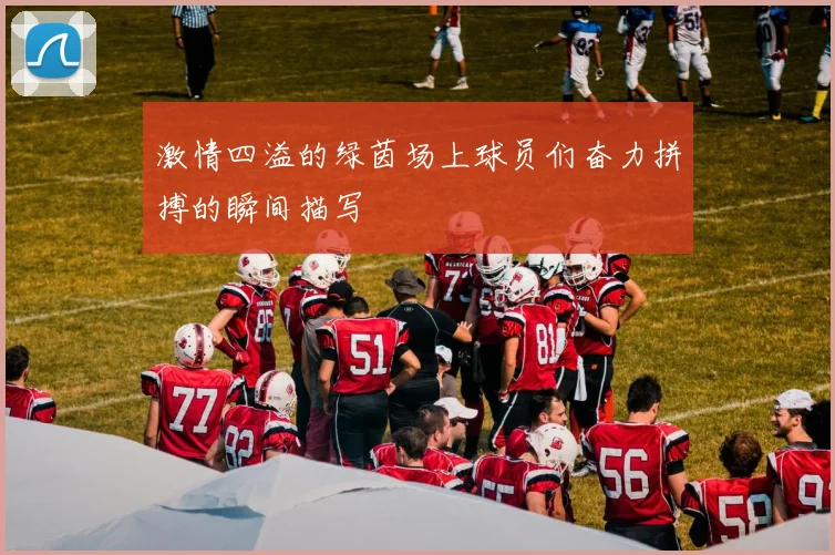 激情四溢的绿茵场上球员们奋力拼搏的瞬间描写