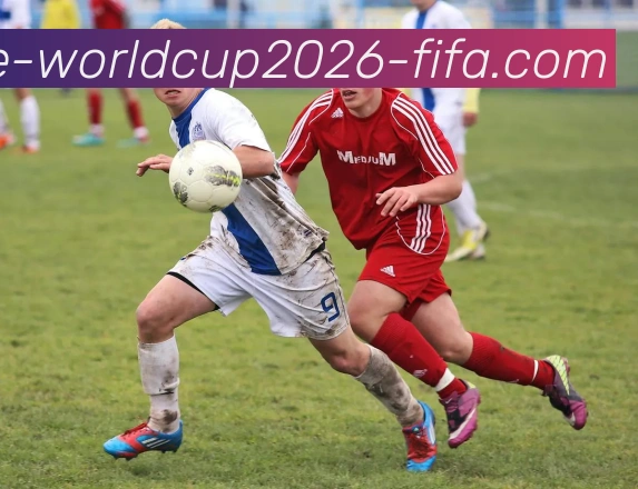 世界杯服务体系